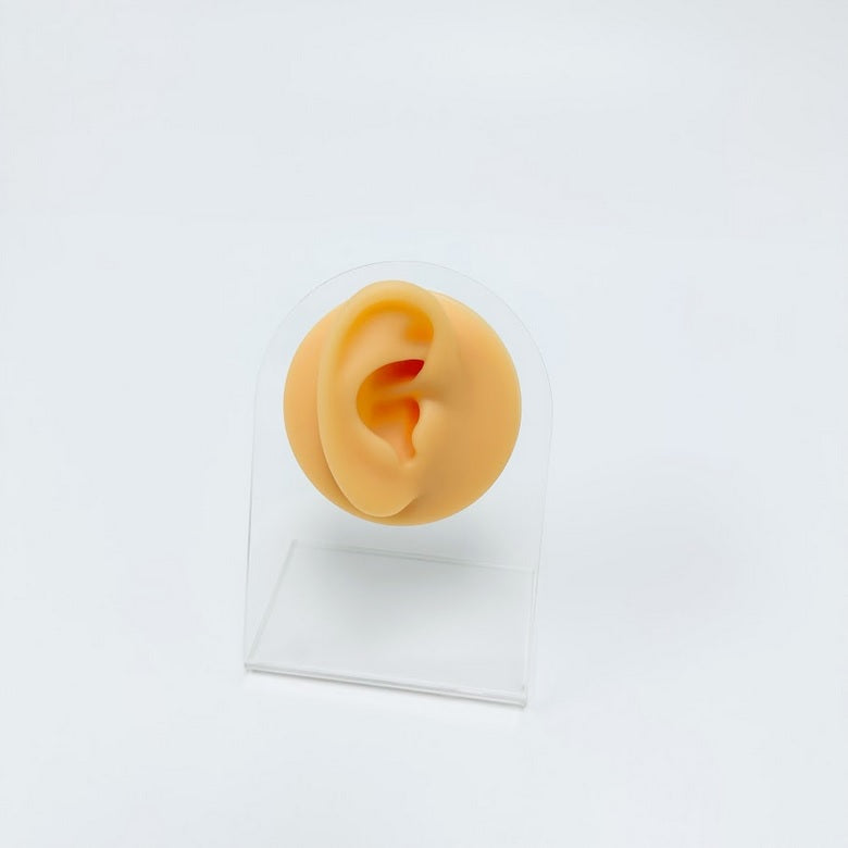 Silicon Right Ear Display Model – Trendez Online Ltd