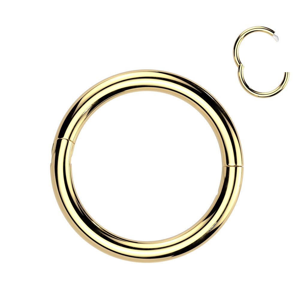 Titanium Gold Half Closure New Secure Hook Hinged Segment Ring - TI-20 ...
